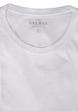 GAZMAN BASIC CREW 22 T-SHIRT-tshirts & tank tops-BIGMENSCLOTHING.CO.NZ