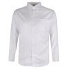 CAMBRIDGE 299 OXFORD L/S BUSINESS SHIRT-shirts casual & business-BIGMENSCLOTHING.CO.NZ