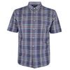 GAZMAN S011 MULTI S/S SHIRT-new arrivals-BIGMENSCLOTHING.CO.NZ