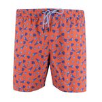 GAZMAN SEA SHELLS BATHERSHORT-new arrivals-BIGMENSCLOTHING.CO.NZ