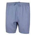 BACKBAY PURE LINEN E/W SHORTS-shorts-BIGMENSCLOTHING.CO.NZ