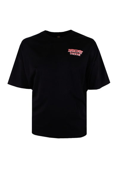 DICKIES TEXAS RELAXED BOX FIT T-SHIRT